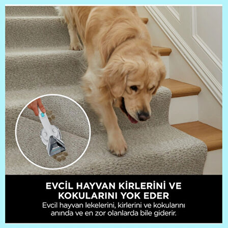 SHARK StainStriker Kolay Taşınabilir Halı ve Koltuk Temizleme Makinesi Beyaz