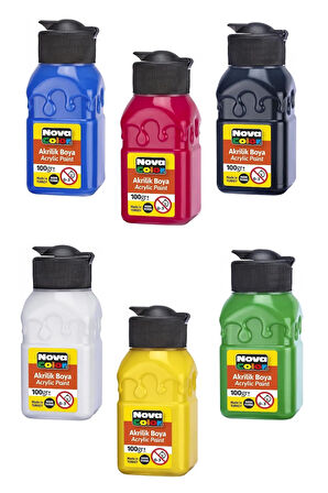Nova Color 6 Renk Akrilik Boya 100gr 6'lı Palet Fırça Seti