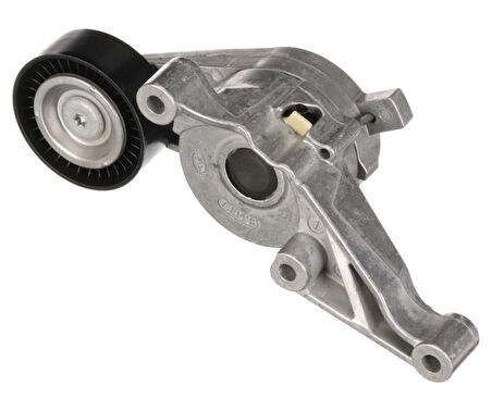 RULMAN ALTERNATÖR GERGİ CA3 GOLF5