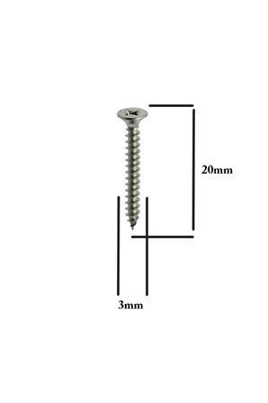 Sunta Vidası 3x20Mm Ahşap Vida Raf Vidası Ahşap Tahta Mobilya Vidası Kısa Vida 100 Adet