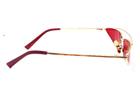 POLO TREND GÜNEŞ GÖZLÜK PT 31041 C40 