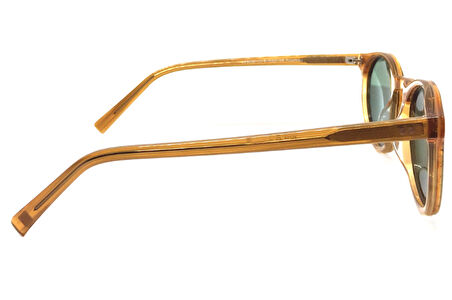 POLO TREND GÜNEŞ GÖZLÜK PT T8002 C3 