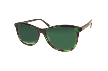 POLO TREND GÜNEŞ GÖZLÜK PT PN16 C1 