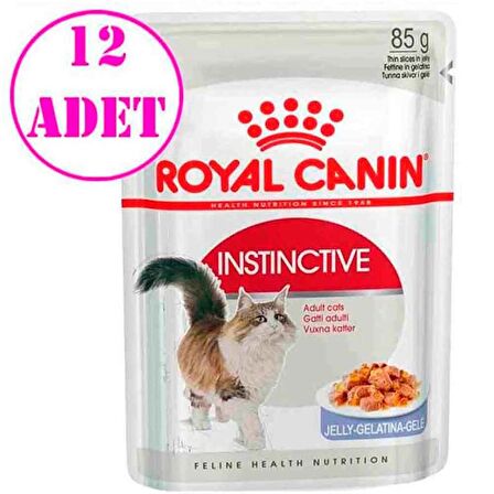 Royal Canin İnstinctive Jelly Kedi Konservesi 85 Gr 12 Adet