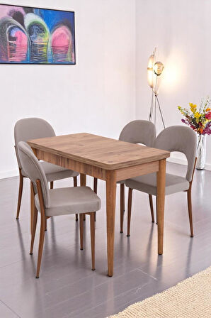 Damla Hilal MDF Mutfak Masa Sandalye Takımı 60x100cm