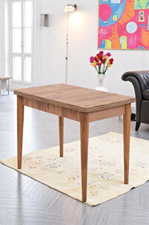 Damla Hilal MDF Mutfak Masa Sandalye Takımı 60x100cm
