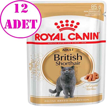Royal Canin British Shorthair Yetişkin Kedi Konservesi 85 Gr 12 Ad