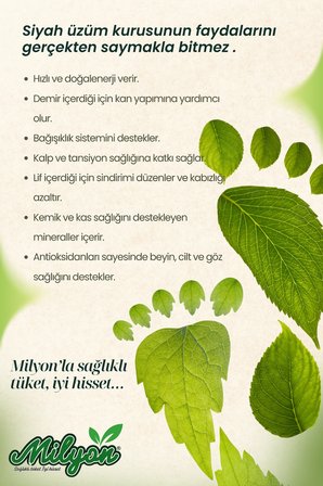 (KANPANYALI) Siyah Üzüm Kurusu 500g 