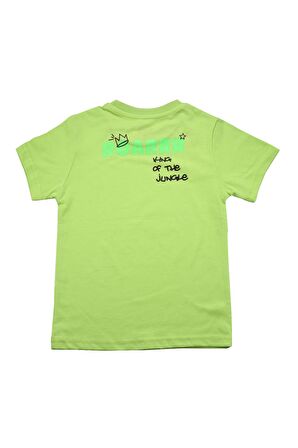 Sevimli Dinozor Baskılı Erkek Bebek Tshirt Yeşil