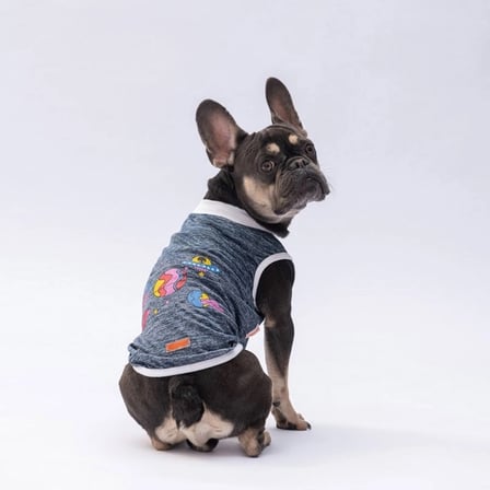 PawStar Lacivert Space Time T-Shirt Küçük Irk 2XL