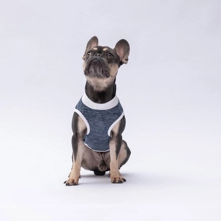PawStar Lacivert Space Time T-Shirt Küçük Irk 2XL