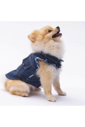Pawstar Küçük Irk Köpek için Denim Yelek XL