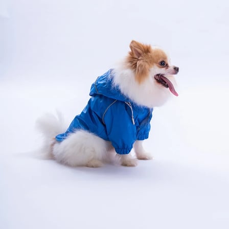PawStar Mavi Pluvia Yağmurluk 2XL