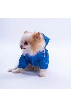 PawStar Mavi Pluvia Yağmurluk 2XL