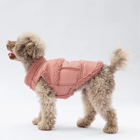 PawStar Rose Churchill Yelek 2XL