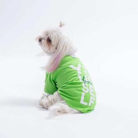 Pawstar Yeşil YourSelf Love Sweat