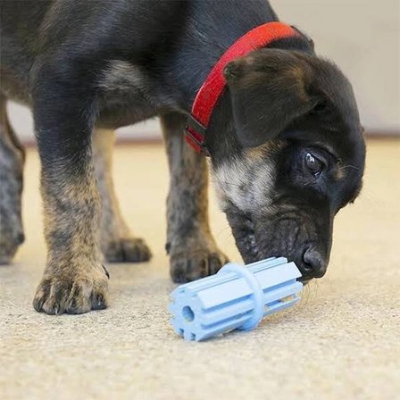 Kong Puppy Teething Stick Diş Temizliği Sağlayan Çok Amaçlı Yavru Köpek Oyuncağı S
