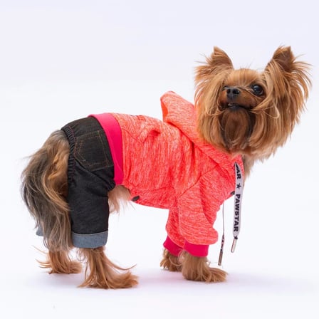 PawStar Pembe New York Tulum 2XL