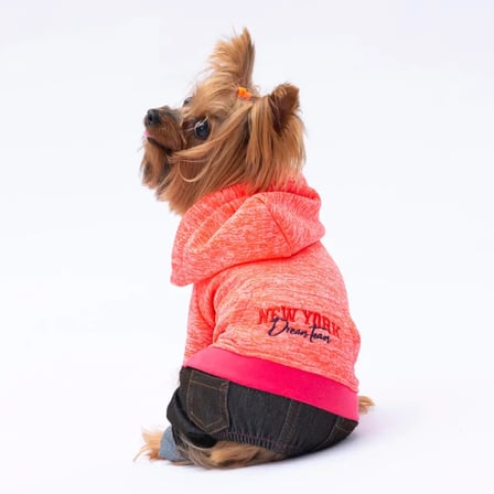 PawStar Pembe New York Tulum XL