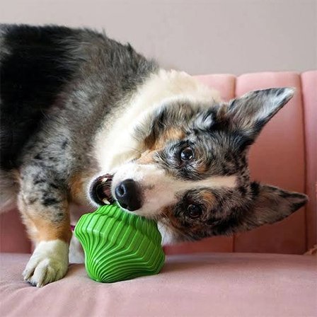 Kong Squeezz Orbitz Dönen Top Şeklinde Köpek Oyuncağı M/L