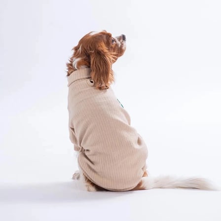 Pawstar Bej TeddyWood Sweat Köpek Kıyafeti 2XL