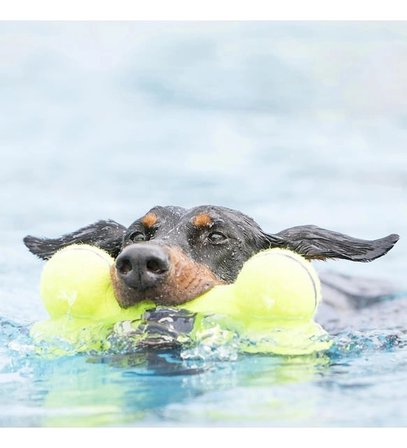 Kong Airdog Sesli Kemik Köpek Oyuncağı L