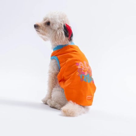 Pawstar Turuncu All GoodDays Tişört