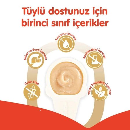 Wanpy Somonlu 10x16 gr Kaşık Krema Kedi Ödül Maması