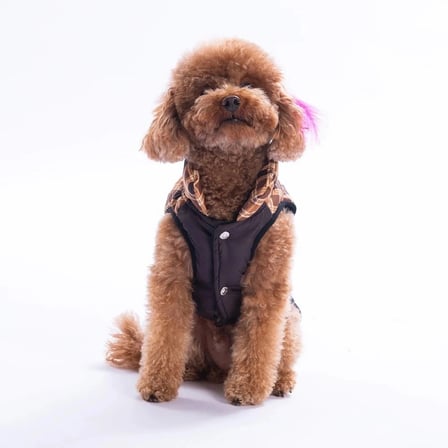 PawStar Kahverengi Elgin Paws Yelek 2XL