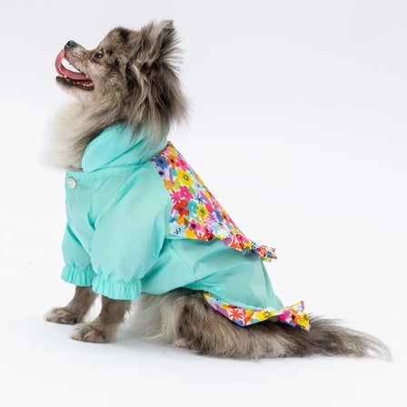 PawStar Mint Victoria Yağmurluk 2XL