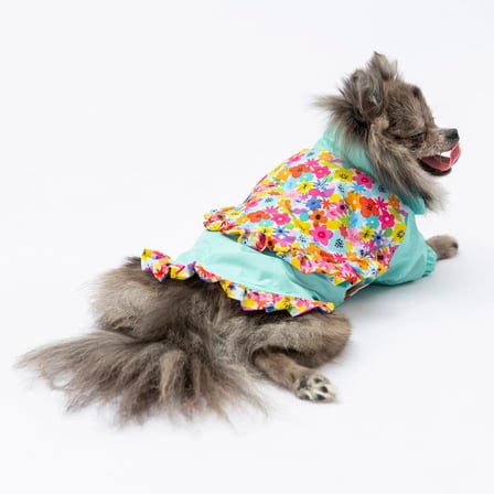 PawStar Mint Victoria Yağmurluk 2XL
