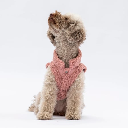 PawStar Rose Churchill Yelek XL