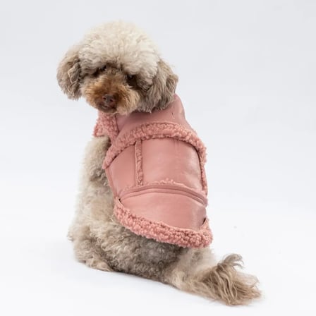 PawStar Rose Churchill Yelek XL