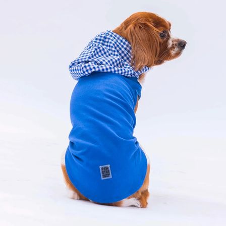 Pawstar Mavi Gingham Kapşonlu Polo Tişört