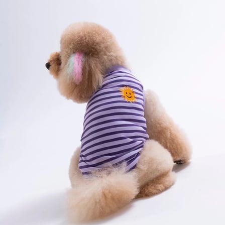 Pawstar Smile EmbroLine Tişört