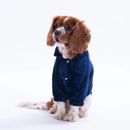 PawStar Lacivert Jaipur Magic Ceket 2XL