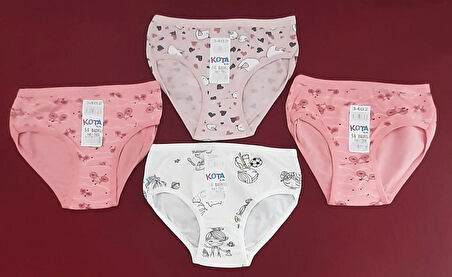 Kız Çocuk Slip Külot Paket İçeriği 4 Adet 
