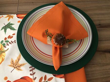 SOFRA SUNUM TAM  SET BALKABAĞI  DESENLİ