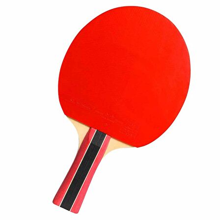 Cornilleau Sport 300 ITTF Onaylı Masa Tenisi Raketi
