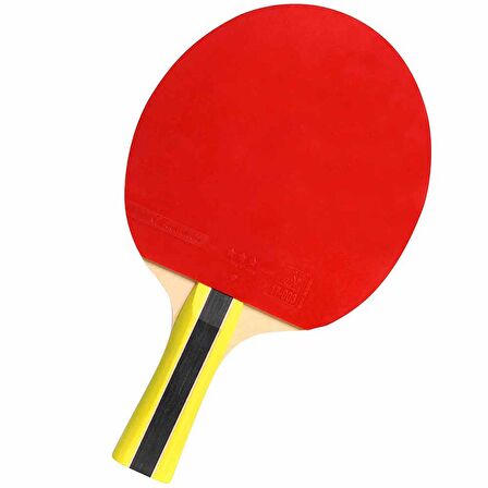 Cornilleau Sport 400 ITTF Onaylı Masa Tenisi Raketi