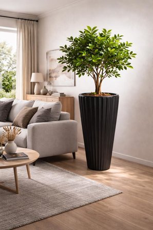 SO-LVT1 3 Adet Lilyum Vazo Saksı Takımı İç Kovalı 54 Lt No:1 Siyah