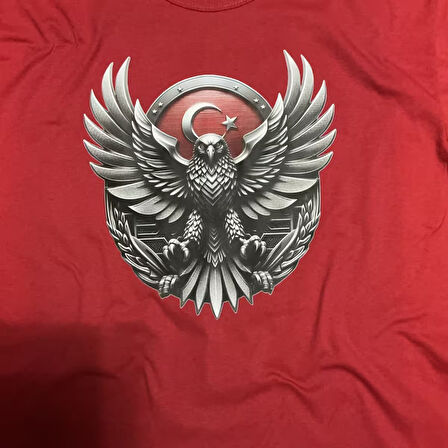 Ay Yıldız Kartal Özel Tasarımlı Tişört