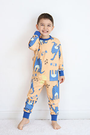 Erkek Çocuk  Pijama Takımı