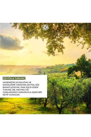 Zeytin Turunç Özlü Vegan Besleyici ve Nemlendirici El Kremi 30 ml