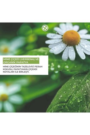 El Kremi – Nemlendirici & Besleyici – Mine Çiçeği ve Papatya Özlü Vegan 30 ml