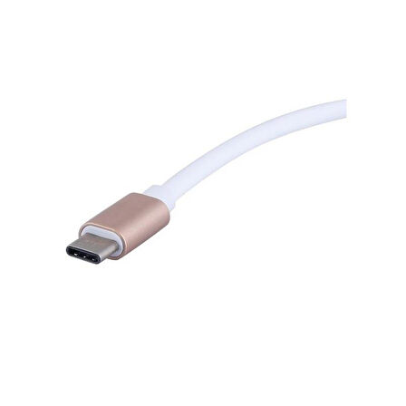 4448 Usb 3.1 Type C To Displayport Çevirici Dönüştürücü Adaptör