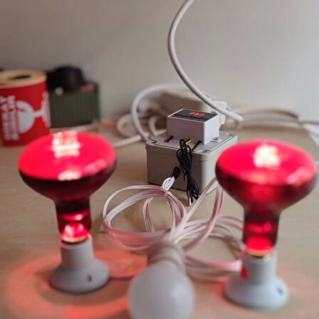 ANAKUCAĞI ISITICI SET 2 ADET 100 W INFRARED ISITICI, DİJİTAL TERMOSTATLI . 1 ADET AYDINLATMA