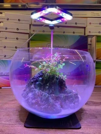 OrionLed Goosneck Fanus & Nano Akvaryum Led Aydınlatma Kare Siyah