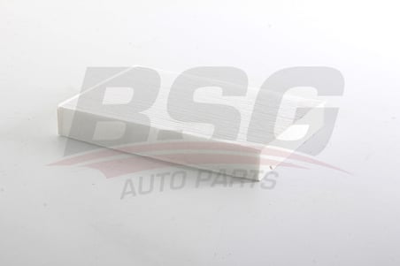 BSG POLEN FILTRESI