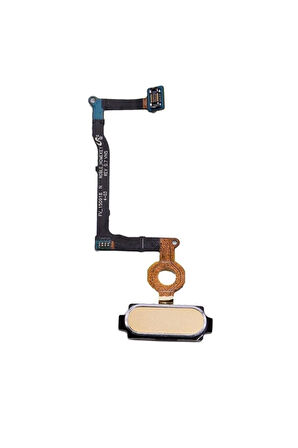 Samsung Galaxy Note 5 N920 Uyumlu Home Tuş Bordu Filmi Gold